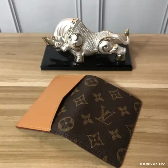 Aaa replica bags LOUIS ORGANIZER VUITTON POCKET 0504